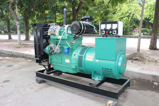 红坪镇发电机不发电的原因